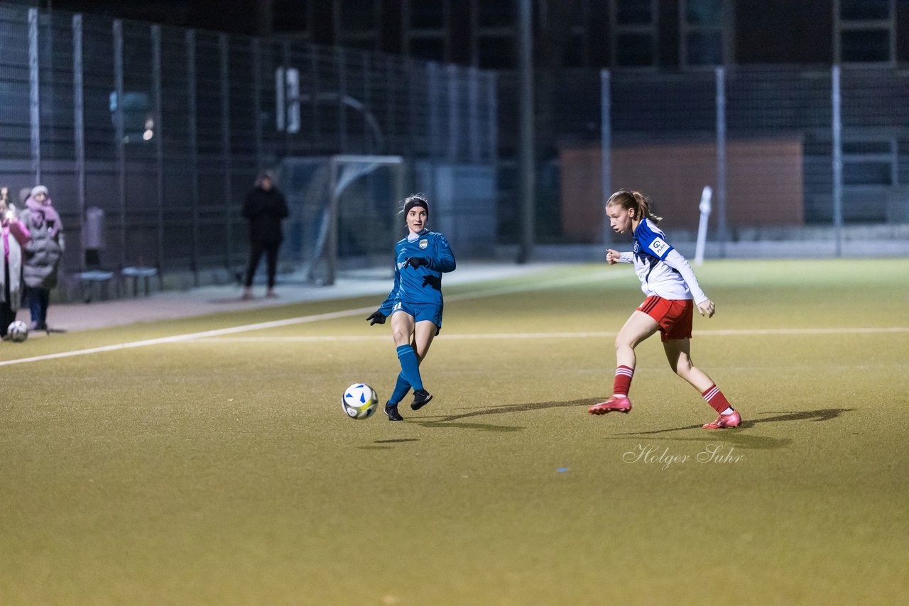 Bild 225 - F SC Alstertal-Langenhorn - Hamburger SV 3 : Ergebnis: 2:2